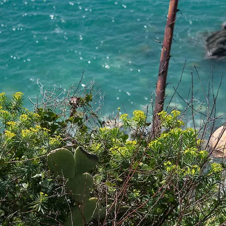 Muin A Ventu Historical Tower 펜션 베르나차