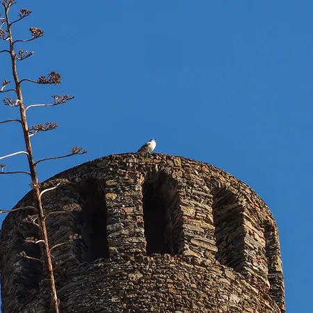 Muin A Ventu Historical Tower Apartment Vernazza
